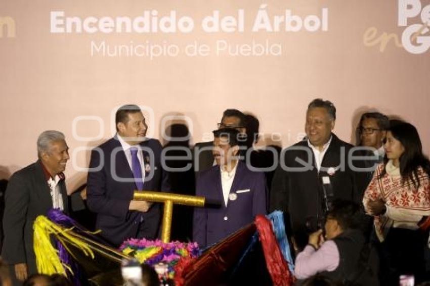 SEP . ENCENDIDO ÁRBOL DE NAVIDAD