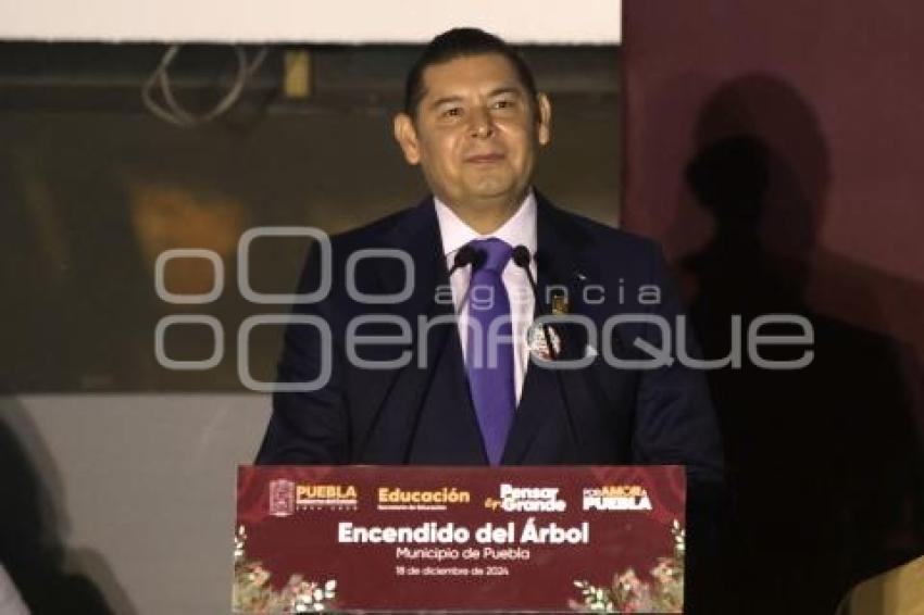 ALEJANDRO ARMENTA