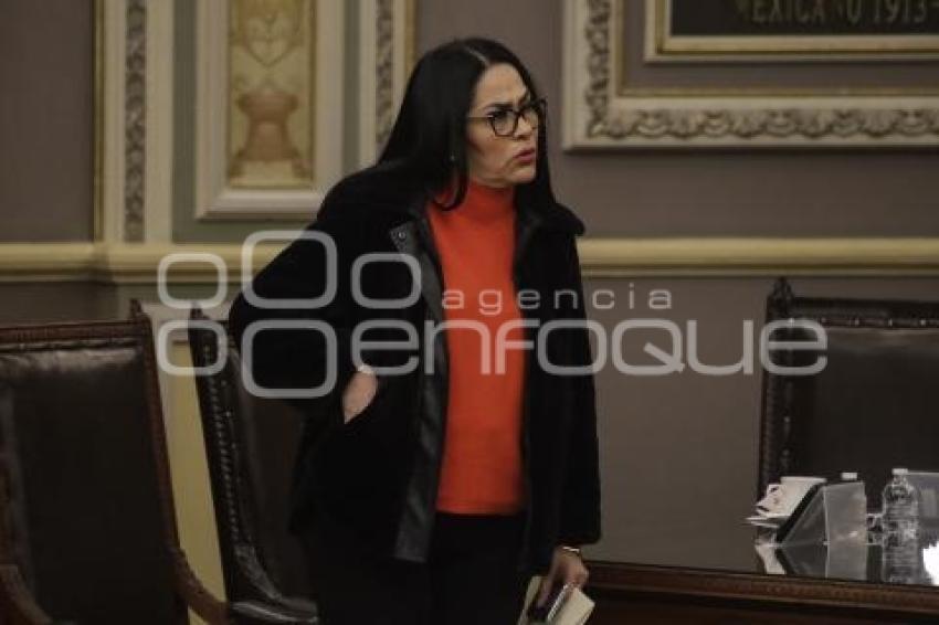 CONGRESO . COMISIÓN PERMANENTE