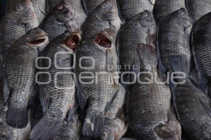 MARISCOS . MERCADO 5 DE MAYO