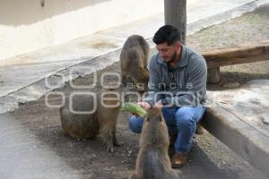 TLAXCALA . ZOOLÓGICO ALTIPLANO