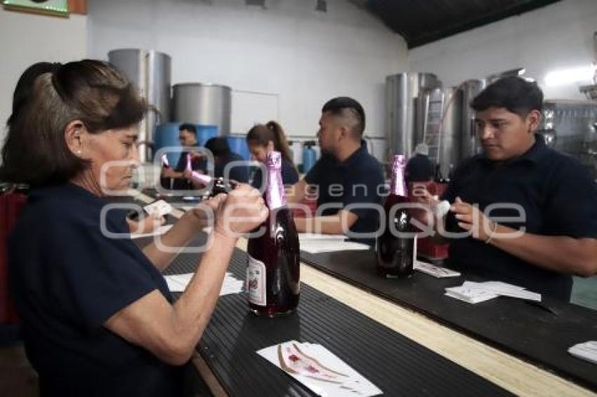 ELABORACIÓN SIDRA