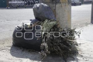 MONTONERAS DE BASURA