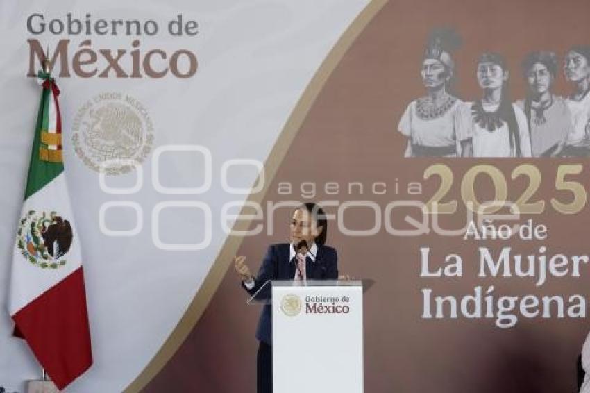 GOBIERNO FEDERAL . PENSIÓN MUJERES BIENESTAR