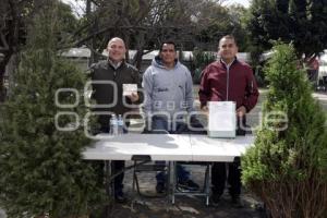 SAN PEDRO CHOLULA . RECICLAJE DE ÁRBOLES