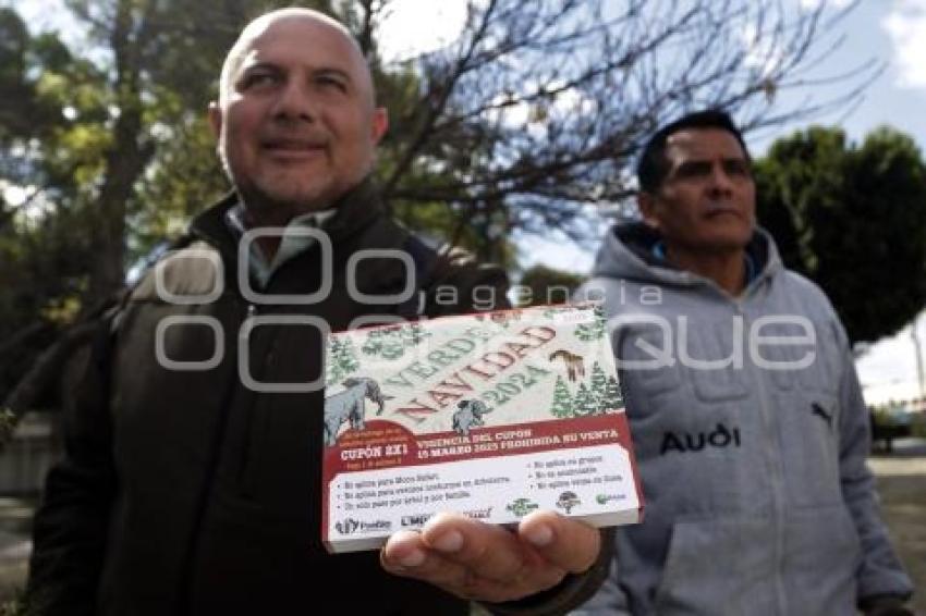 SAN PEDRO CHOLULA . RECICLAJE DE ÁRBOLES