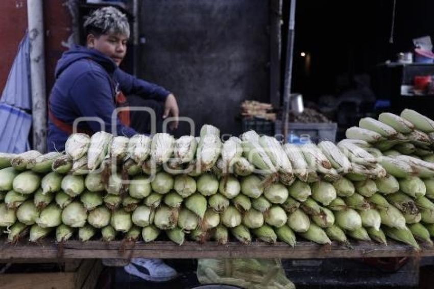 PRECIO ELOTE