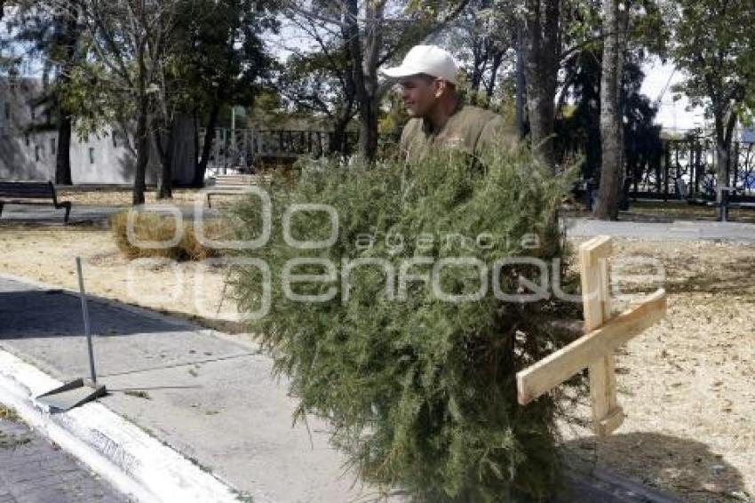 ARBOTERRA . VERDE NAVIDAD