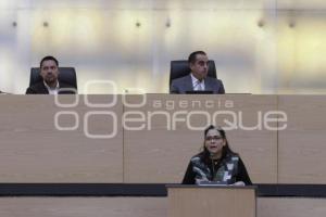 CONGRESO . COMISIÓN PERMANENTE