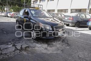 BACHES