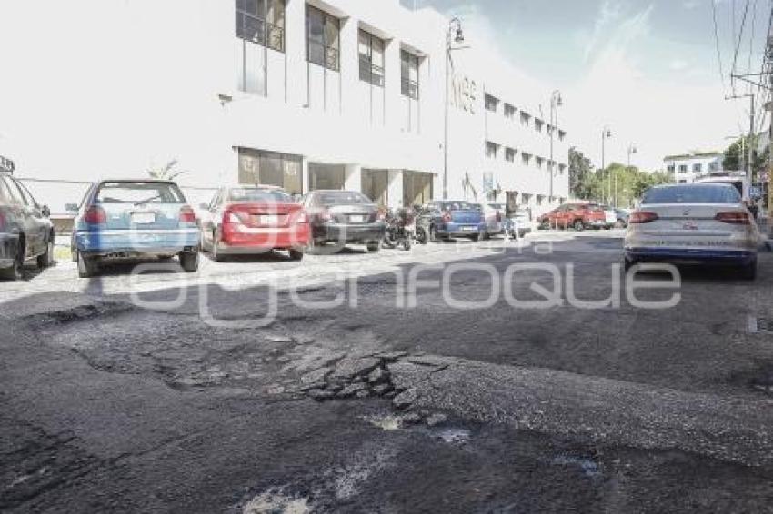 BACHES