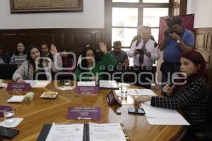 COMISIÓN DE PROTECCIÓN CIVIL
