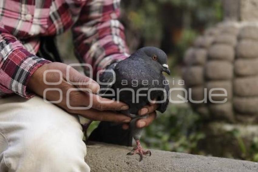 DÍA DE LAS AVES