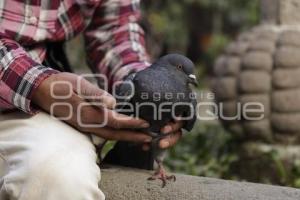 DÍA DE LAS AVES