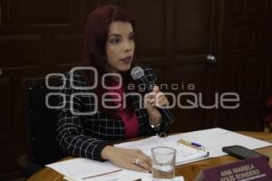COMISIÓN DE PROTECCIÓN CIVIL