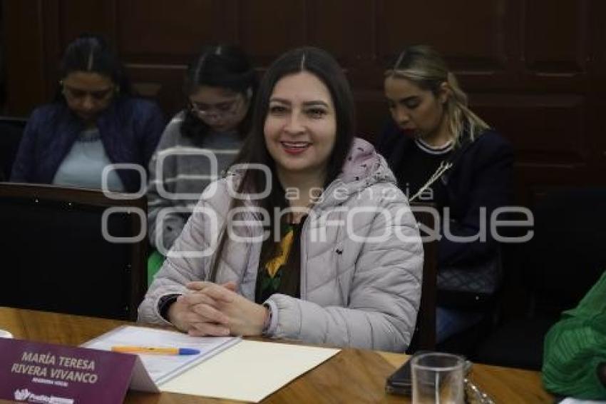 COMISIÓN DE PROTECCIÓN CIVIL