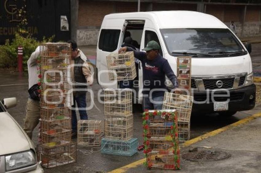 PROCESIÓN . PAJAREROS