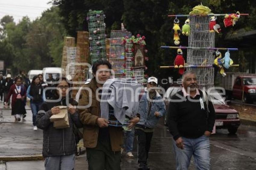 PROCESIÓN . PAJAREROS