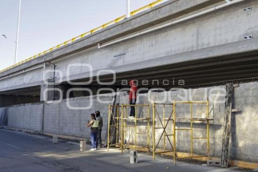DISTRIBUIDOR CENTRAL DE ABASTO