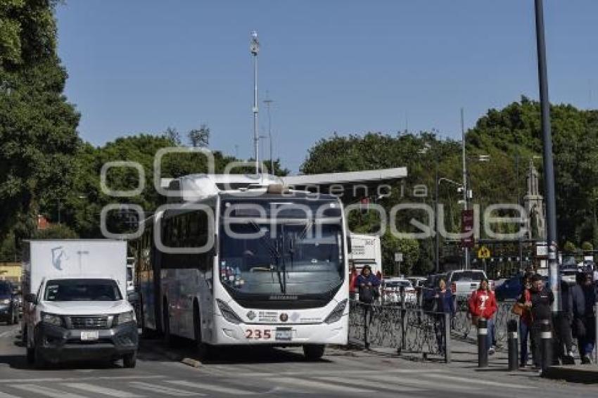 RUTA
