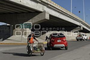 DISTRIBUIDOR CENTRAL DE ABASTO