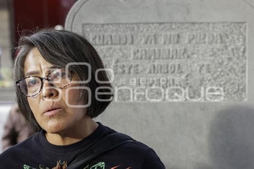 MARÍA LUISA NÚÑEZ