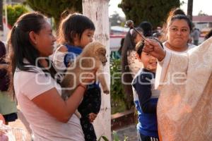 TLAXCALA . BENDICIÓN ANIMALES