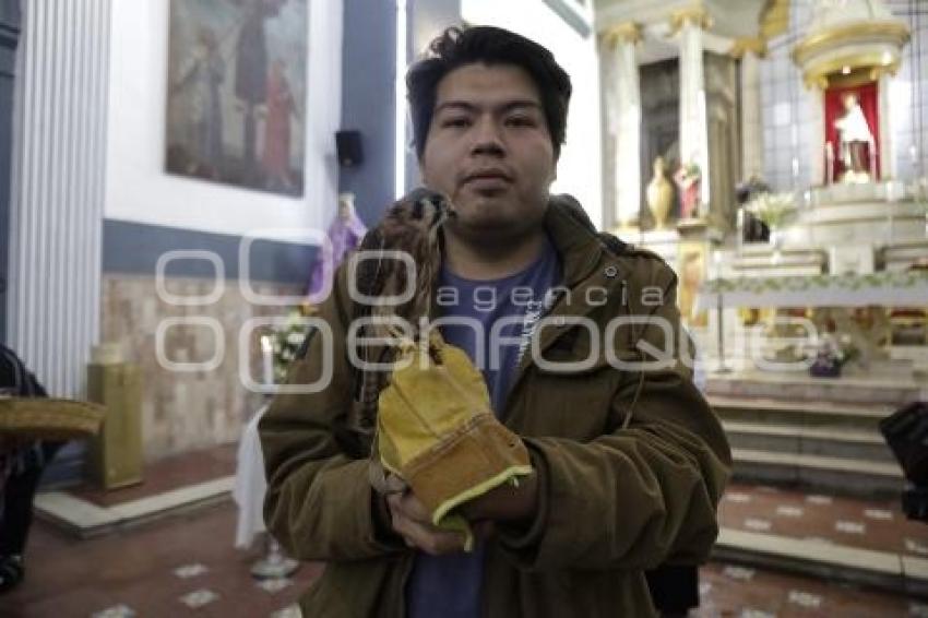 BENDICIÓN DE ANIMALES