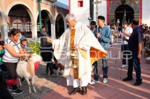 TLAXCALA . BENDICIÓN ANIMALES
