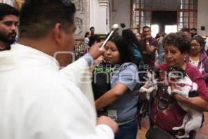 ATLIXCO . BENDICIÓN DE ANIMALES
