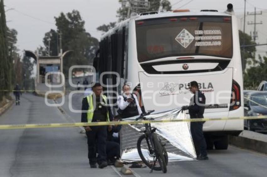 CICLISTA ATROPELLADO 