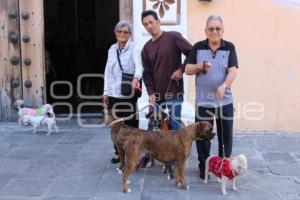 ATLIXCO . BENDICIÓN DE ANIMALES