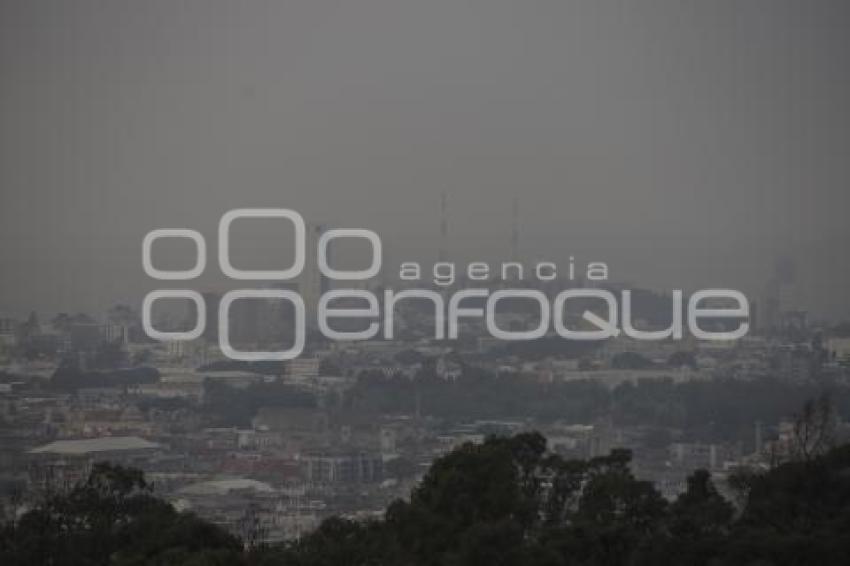 CLIMA . NEBLINA