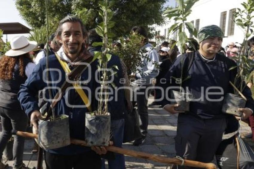 SAN ANDRÉS CHOLULA . ADOPTA UN ÁRBOL
