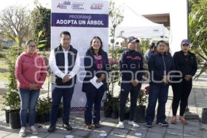 SAN ANDRÉS CHOLULA . ADOPTA UN ÁRBOL