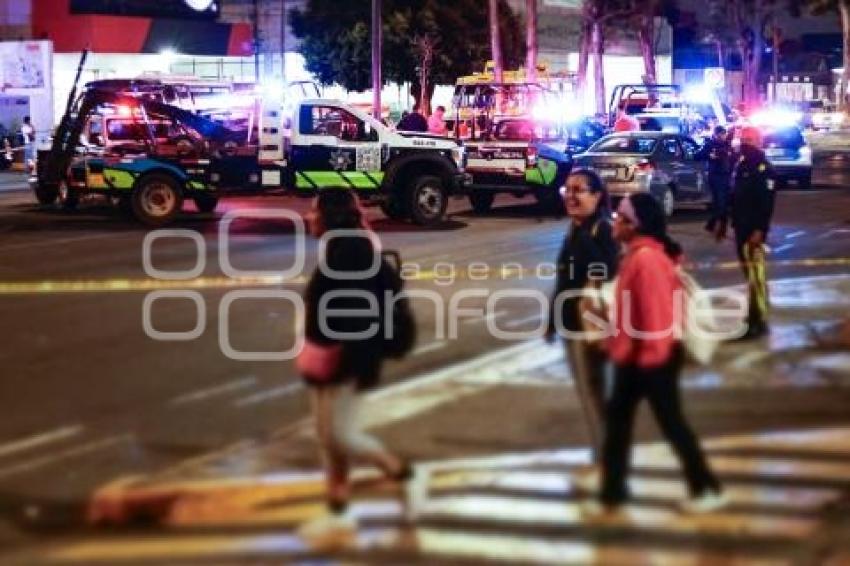 ATROPELLADO . AVENIDA REFORMA