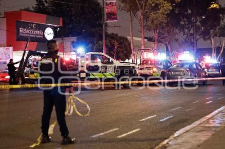 ATROPELLADO . AVENIDA REFORMA