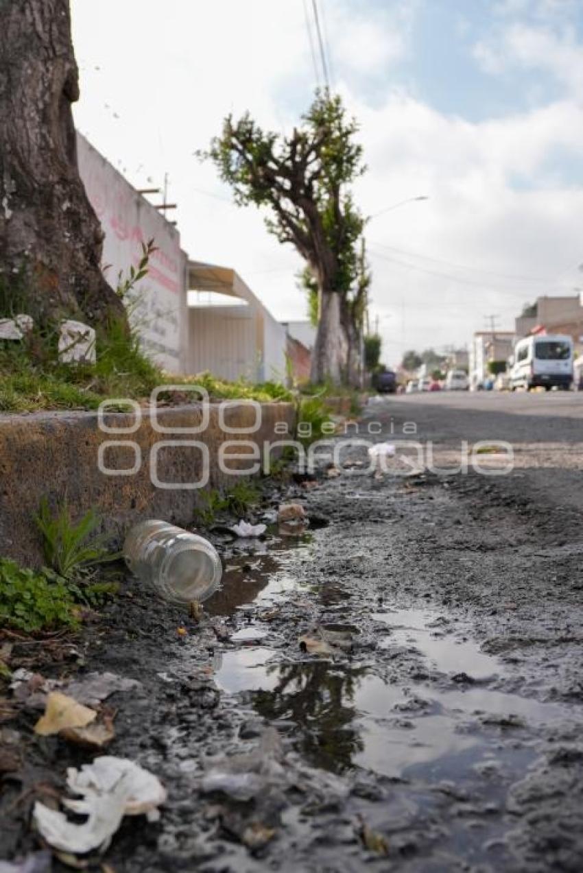 TLAXCALA . BASURA