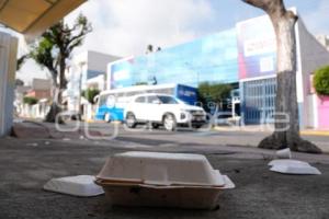 TLAXCALA . BASURA