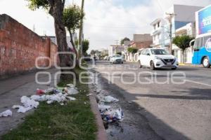 TLAXCALA . BASURA