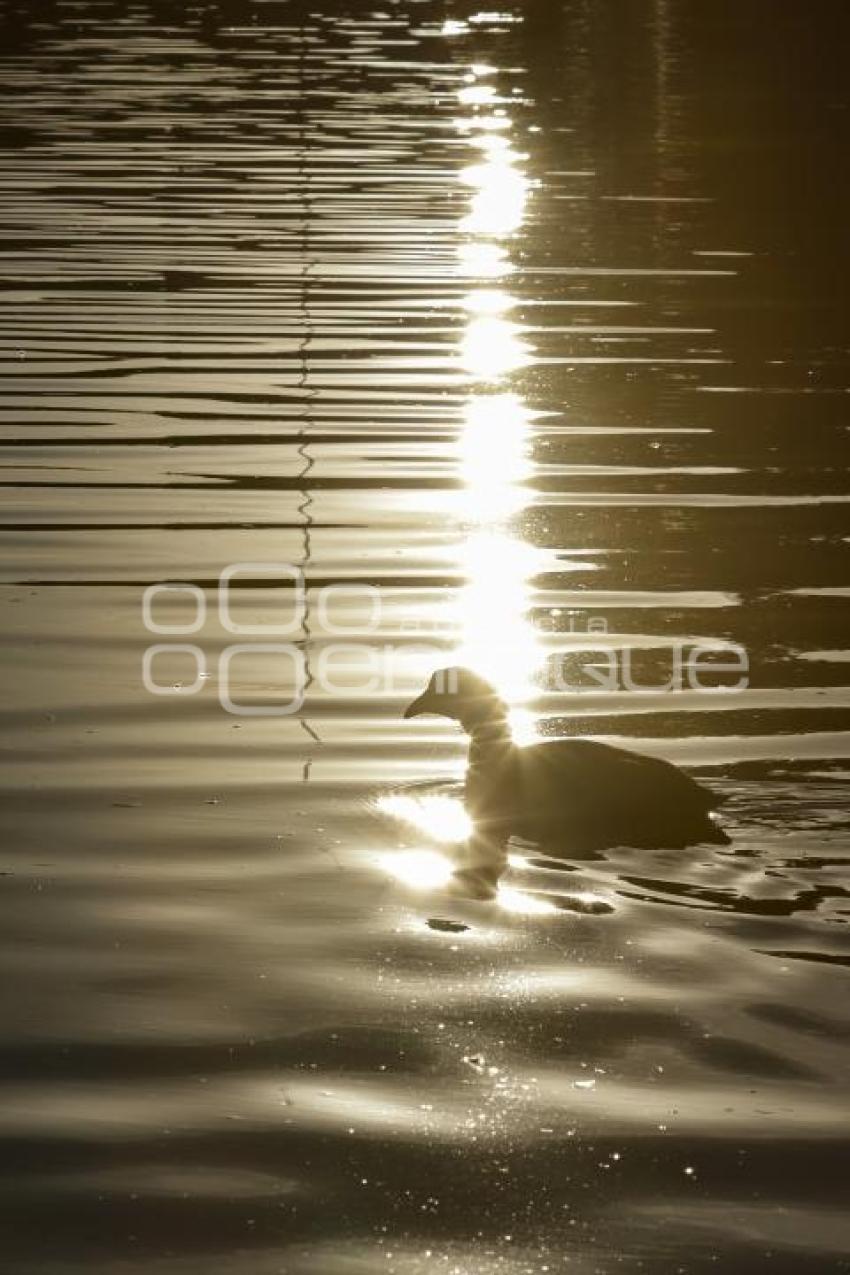 ATARDECER