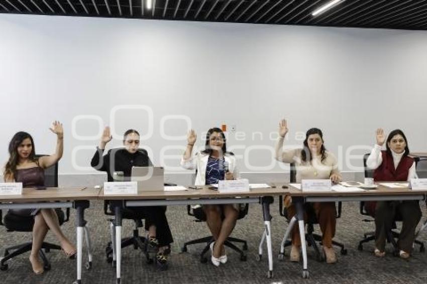 CONGRESO . COMISIÓN IGUALDAD DE GÉNERO