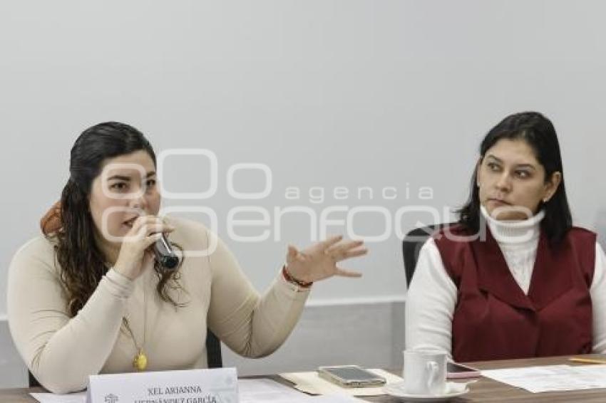 CONGRESO . COMISIÓN IGUALDAD DE GÉNERO