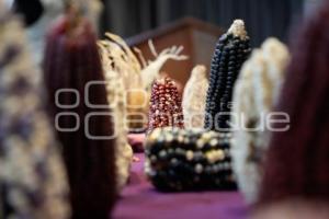 TLAXCALA . ANIVERSARIO BANCO DE SEMILLA