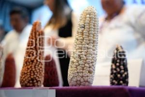 TLAXCALA . ANIVERSARIO BANCO DE SEMILLA