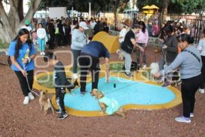 ATLIXCO . PARQUE DE MASCOTAS
