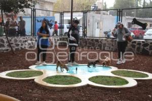 ATLIXCO . PARQUE DE MASCOTAS