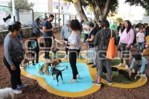 ATLIXCO . PARQUE DE MASCOTAS