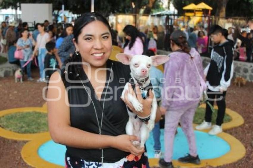 ATLIXCO . PARQUE DE MASCOTAS