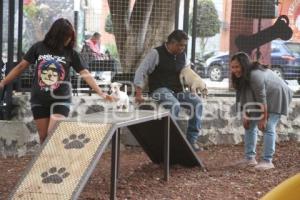 ATLIXCO . PARQUE DE MASCOTAS